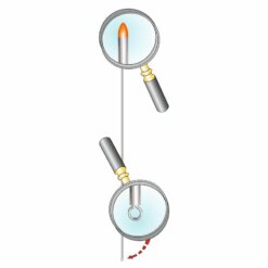 STONFO AGHI BIBI TESTA ROSSA
