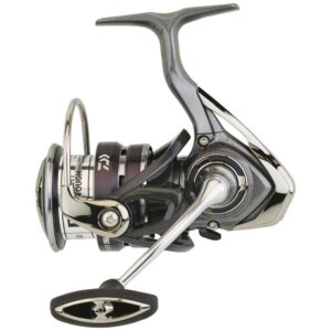 DAIWA MULINELLO EXCELER LT 2020