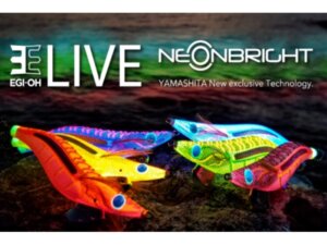 YAMASHITA EGI-OH LIVE NEONBRIGHT
