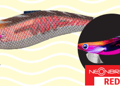 Alternative view of YAMASHITA EGI-OH SEARCH BASIC