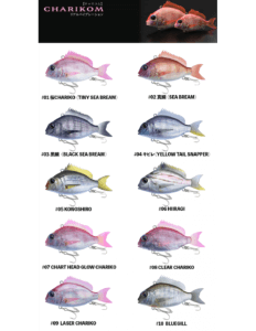 LITTLE JACK CHARIKOM ESCHE ARTIFICIALI