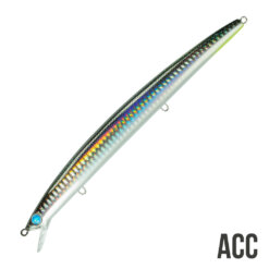 Alternative view of SEASPIN MOMMOTTI 160 SF