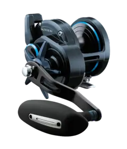 DAIWA MULINELLO 25 SALTIST SD J