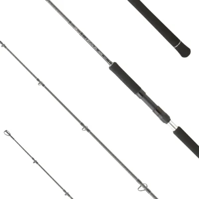 DAIWA CANNA LEGALIS JIGGING